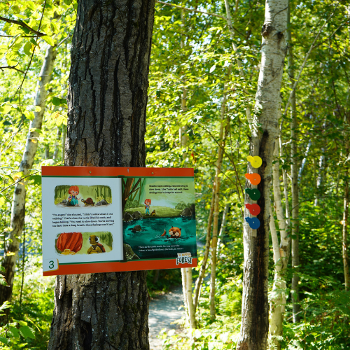 Kivi Park