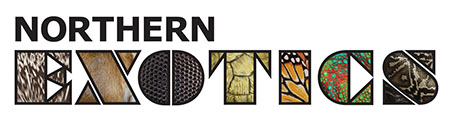 Northern Exotics logo