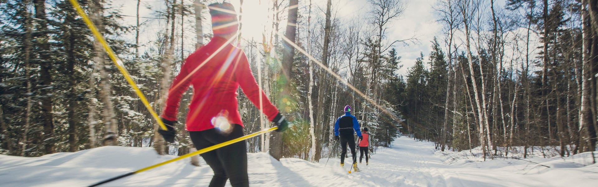 Cross Country Skiing Tourism Sudbury   Windy Lake Cross Country Skiing Banner 